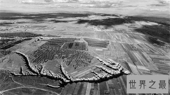 最早的哺乳动物,摩根齿兽距今2.05亿年历史!