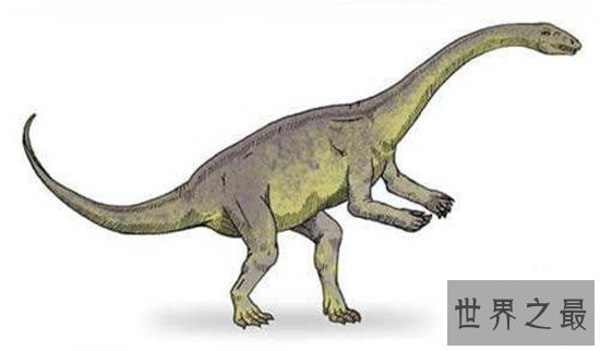 最早的哺乳动物,摩根齿兽距今2.05亿年历史!