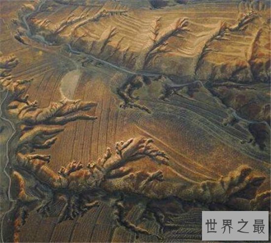 最早的哺乳动物,摩根齿兽距今2.05亿年历史!