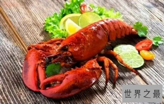 世界最大龙虾,让人看到都垂涎欲滴。