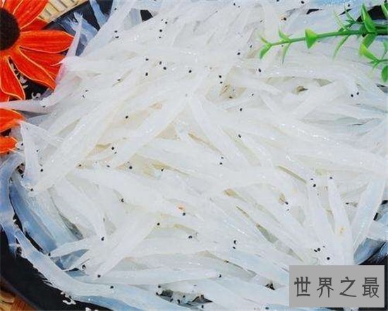 世界上最没有隐私的鱼,全身透明宛如玻璃!