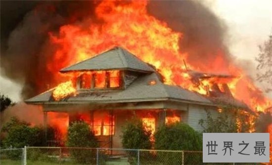 狗狗救人事件TOP10,这只狗竟然为主人挡枪子儿!