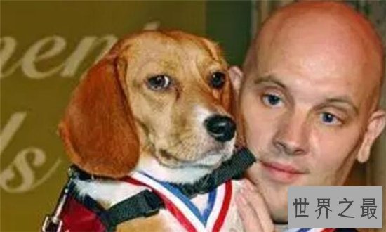 狗狗救人事件TOP10,这只狗竟然为主人挡枪子儿!