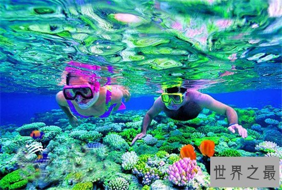 世界上最大的珊瑚礁群,上独一无二的存在