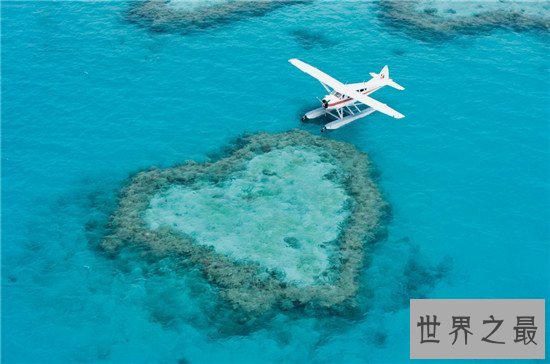 世界上最大的珊瑚礁群,上独一无二的存在