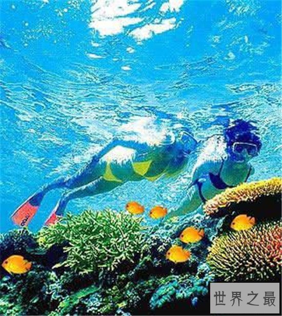 世界上最大的珊瑚礁群,上独一无二的存在