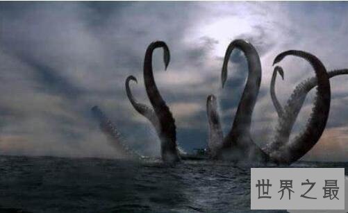 地震乌贼长什么样子?居然让人大吃一惊!