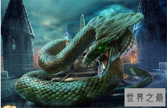 红海巨蛇据称长500米,但却找不到真实性的报道