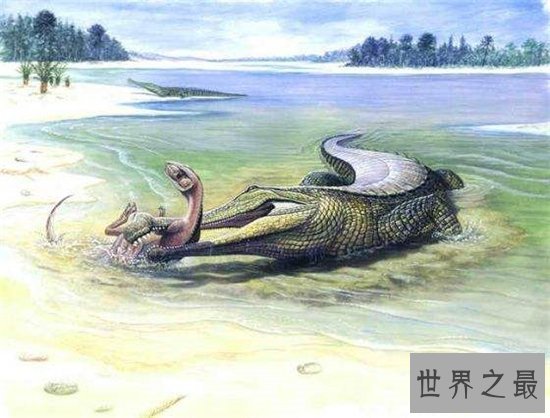 猪鳄是一种史前鳄鱼,通过化石考古发现它们的存在