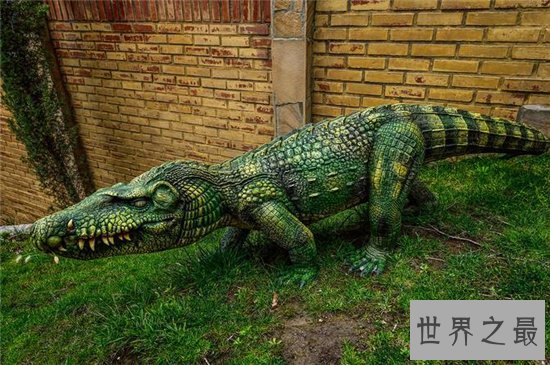 猪鳄是一种史前鳄鱼,通过化石考古发现它们的存在