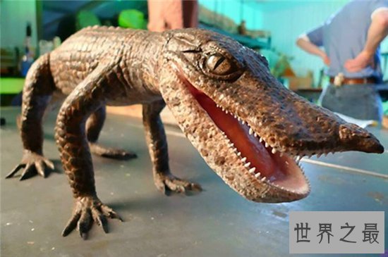 猪鳄是一种史前鳄鱼,通过化石考古发现它们的存在