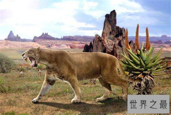 异剑齿虎已经灭绝,曾是两种猫科动物的结合