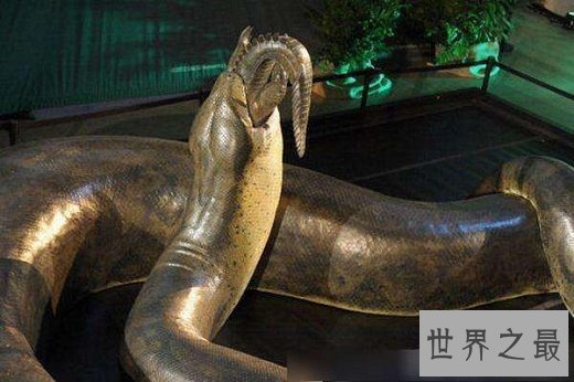 史前十大怪物，巨齿鲨可以轻松咬穿鲸鱼肋骨