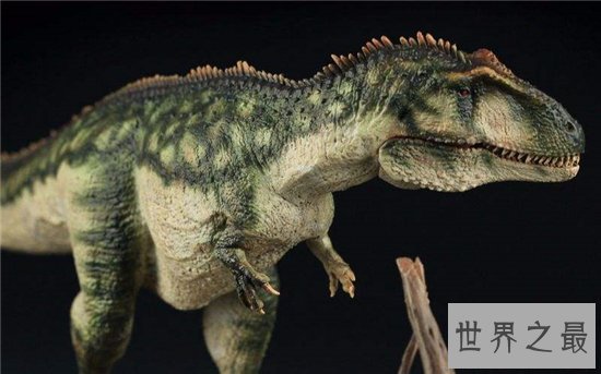 南方巨兽龙能长到四米高,超过霸王龙的身高