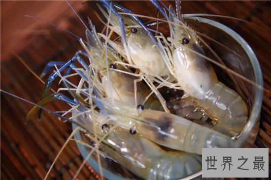 罗氏沼虾口感好价值高,含有不少微量元素