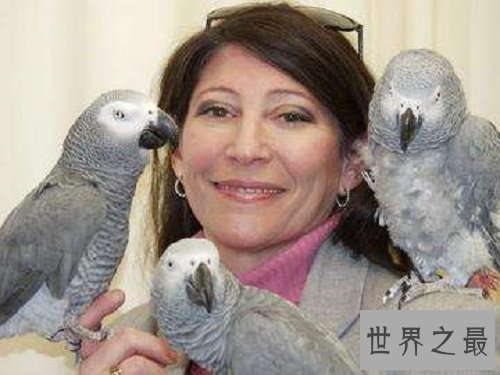 世界上最聪明的鹦鹉,双商具备不得不服!