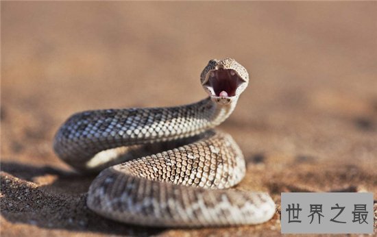 民间关于蛇的传说,庄周解梦中就有许多与蛇有关