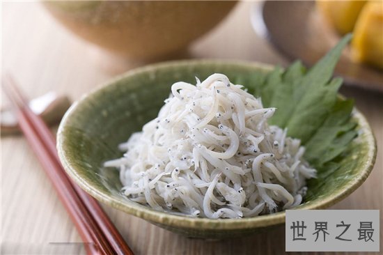 白肌银鱼以小鱼小虾为事物,繁殖力量强大生长快速