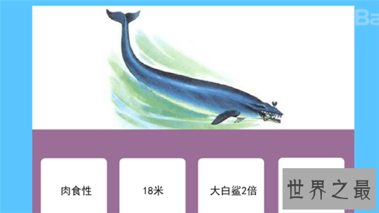 古蜥鲸如今已经灭绝，生活在五千万年前的生物
