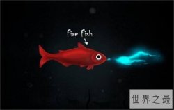 喷火鱼真的能喷火吗？其实它喷出的是蓝光