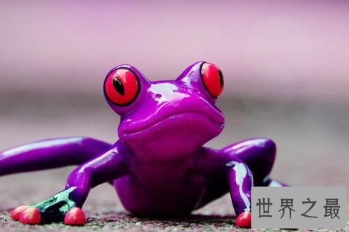 世界上最恐怖的动物，八目鳗鱼可以瞬间吞噬整条蛇！