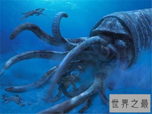 世界上最大的鱿鱼，能够轻易撕裂船只！