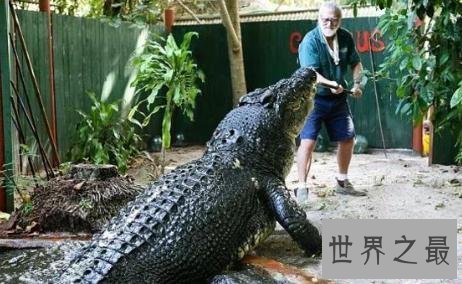 史上最大的鳄鱼，第一体重重达2000公斤！