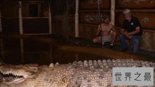史上最大的鳄鱼，第一体重重达2000公斤！