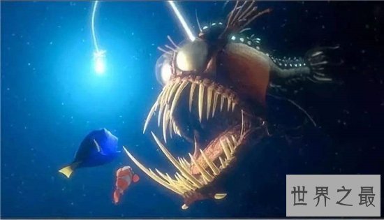 深海琵琶鱼长相丑陋，能吃下比它大一倍的食物