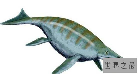 史前十大海洋霸主，第一可以一口吞下20吨食物