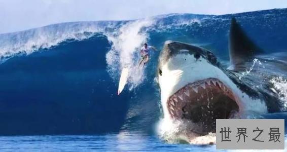 史前十大海洋霸主，第一可以一口吞下20吨食物