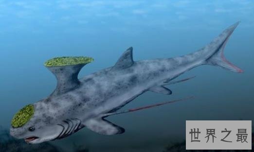 史前十大海洋霸主，第一可以一口吞下20吨食物