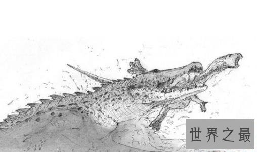 史前十大海洋霸主，第一可以一口吞下20吨食物