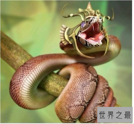 世界上最毒的蛇排名，裂颊海蛇毒性是眼镜蛇的8倍