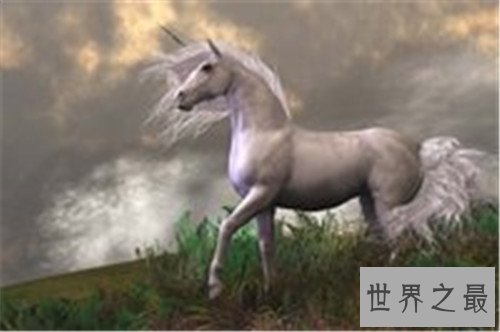 马的种类十大排名，汗血宝马竟然不是第一名