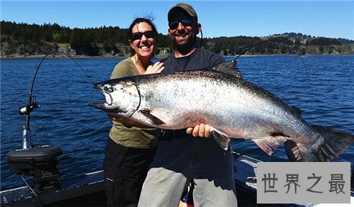 世界最凶猛的鱼排行，亚马逊鲇鱼最为凶猛（250磅，9英尺长）