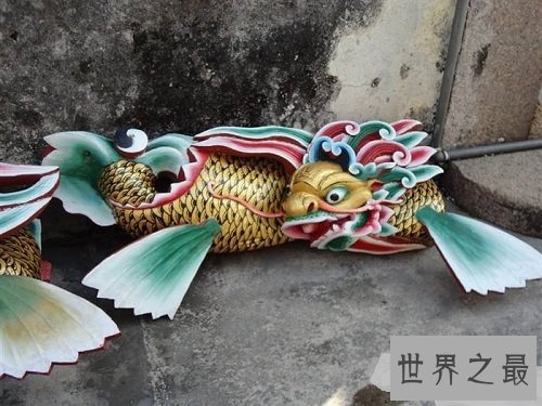 鳌鱼是什么鱼？一起来聊聊鳌鱼的故事吧！