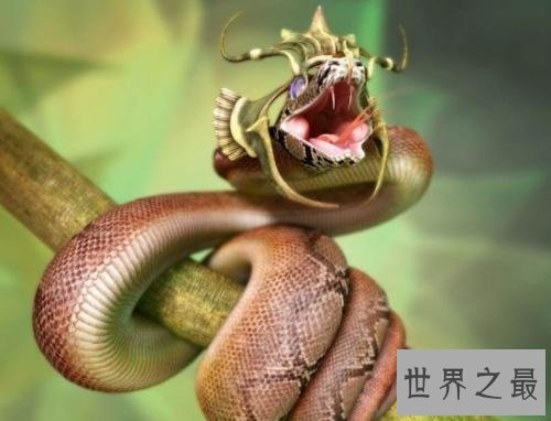 绿茸线蛇真的存在吗？世界上年纪最大的蛇居然是它！
