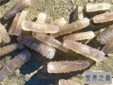 火体虫看起来像巨大的角，同时也像一条丝巾