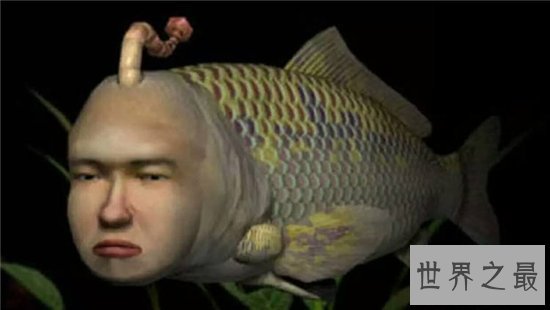 人面鱼长相奇特寿命很短，因为杂交而形成了这种鱼