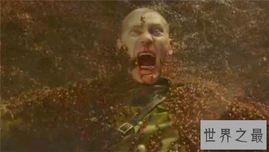 食人蚁虽然身长只有一厘米，但却是非洲凶猛的动物