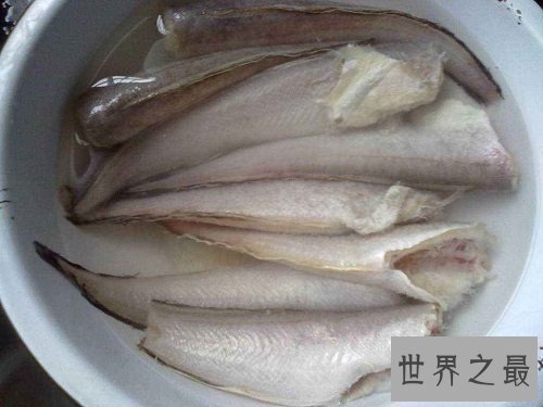凤尾鱼能食用吗?它是传说中的孔雀鱼吗?