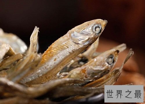 凤尾鱼能食用吗?它是传说中的孔雀鱼吗?