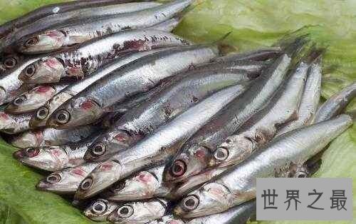 凤尾鱼能食用吗?它是传说中的孔雀鱼吗?