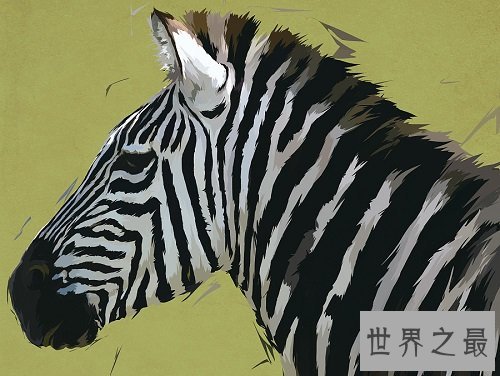 灭绝动物最让人心疼的居然是它们?罪魁祸首就是人类!