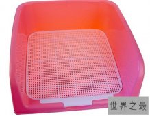 狗厕所如同虚设？关键看你如何训练你的爱宠！