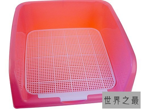 狗厕所如同虚设？关键看你如何训练你的爱宠！