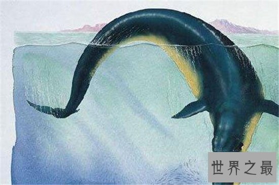 古蜥鲸进化非常复杂，从化石看出身长有20多米