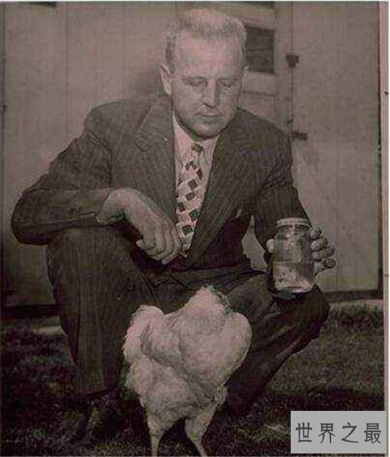 无头鸡存活一周，相当于现在的脑叶切除手术