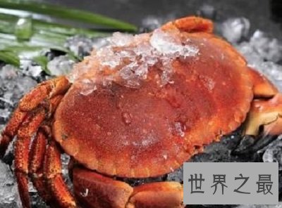 正直爱洁蟹是什么蟹?千万不能贪吃它呢!